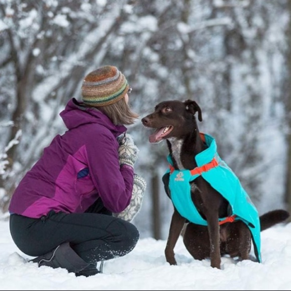 NWT RC Pets Vortex dog parka.